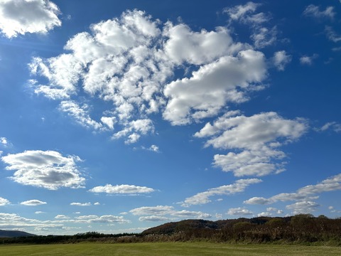 9AEC3DFF-DE1E-4732-950D-8D3F83BC3C80