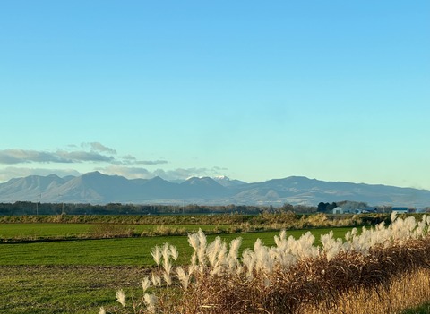 A8963963-705B-482C-B9D2-DD153C49E6D1