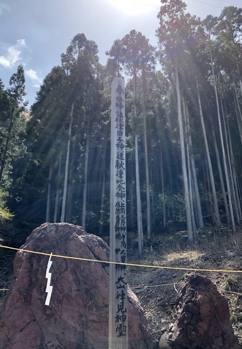 78427343-5018-4B45-B734-B79F517A46A4