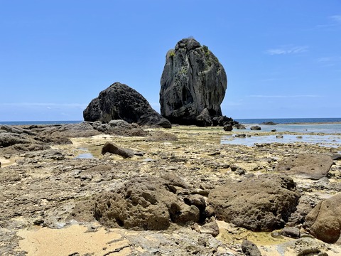 B1C6A66B-9411-4976-92D2-8B25F82D8EEB