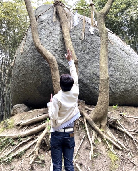 D05234F4-0A8B-4FA6-BFCB-AC16FCB2769D