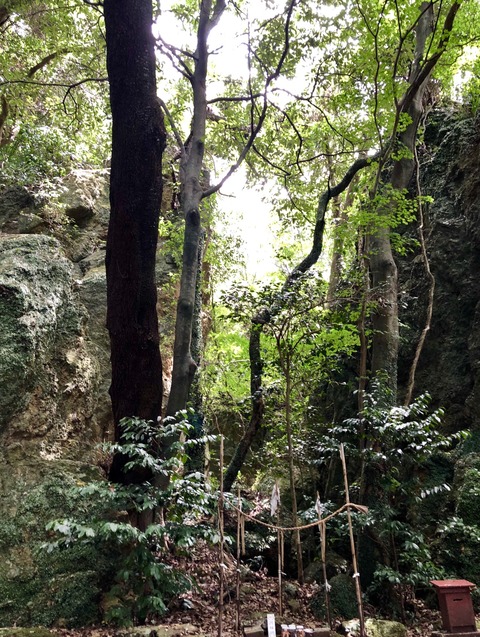 4D4FF793-E1CA-45A0-91E7-756DE9C93FAD