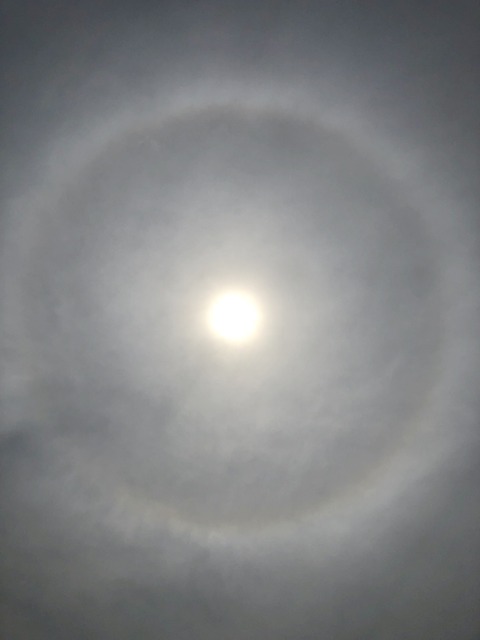 812A5114-259F-4204-8C23-C380064184D9