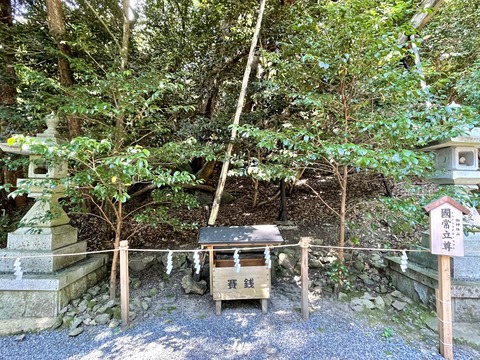 26048300-0AA2-4EEE-B147-AA69E1B66312