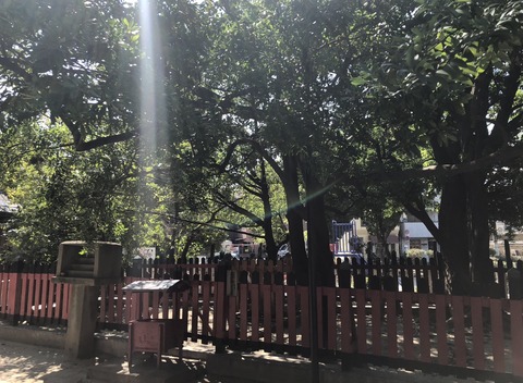 436C64D7-C243-41BB-A8D1-692B21284F66