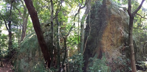 89186FD5-47F1-4BEF-8201-677943209E10