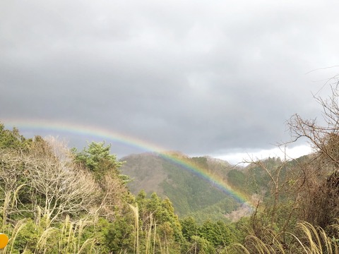 64A10ACC-C481-47CC-A182-5CEE596C764B