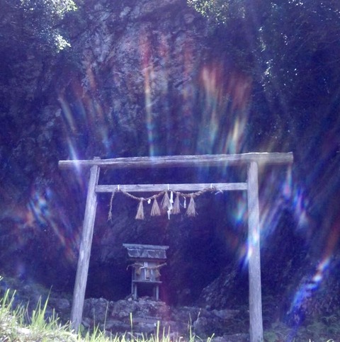 DA7C6E85-2A86-4F0B-8CB3-0D5887DA63AE