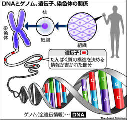 EC3BBFE2-E1DB-47A0-B3D3-CB613B441118