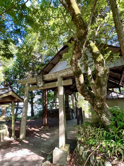 CDA84A14-C9BF-4105-B1C7-53889A0034E9