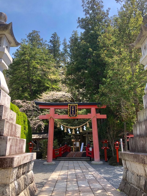 05B2FEFF-7F10-40E8-A380-569177EB46E1