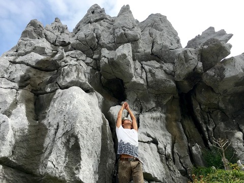 00EAA056-8432-4A35-9F54-CD8AE8CE485B