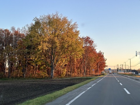 A4A047F3-391C-4D31-9C57-F04E0D2D3B05