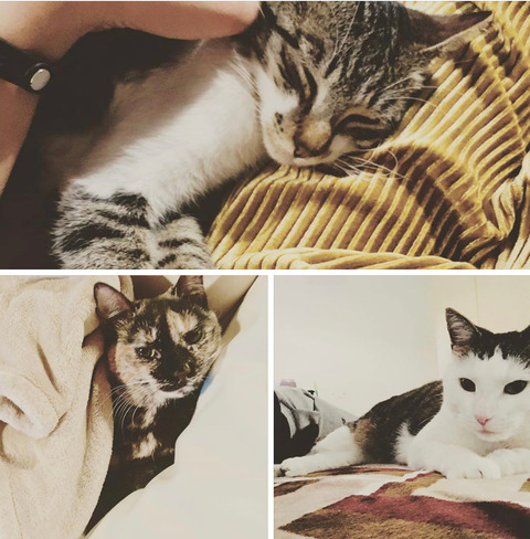 0F4E8237-A52D-42E6-B2C3-A67477B13988