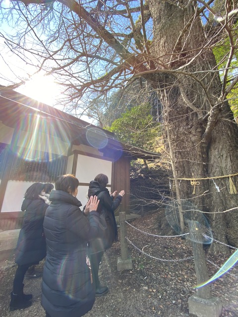 EB202955-C50D-4C8E-85F8-03E4E68D1478