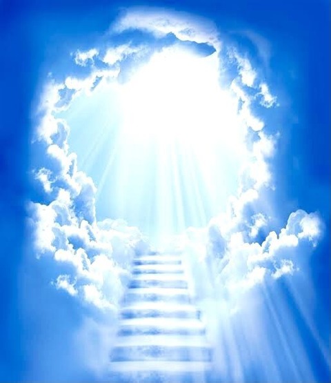 6A304E3A-8F45-43C1-8EA7-06E0E57DB234