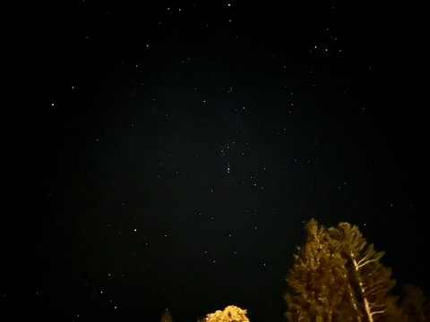 0283E59C-12C9-40DD-AC83-39A9A7CC38D6