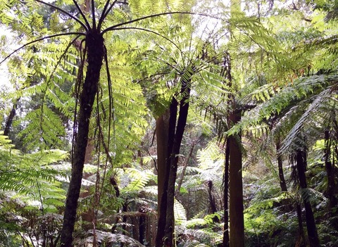 F3370C94-22A1-42F3-922E-F193616AF8BF