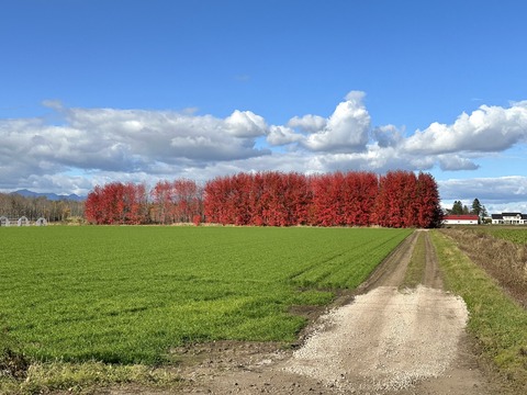 4AA9FAD3-932B-4752-9E04-0433CF6A94D8