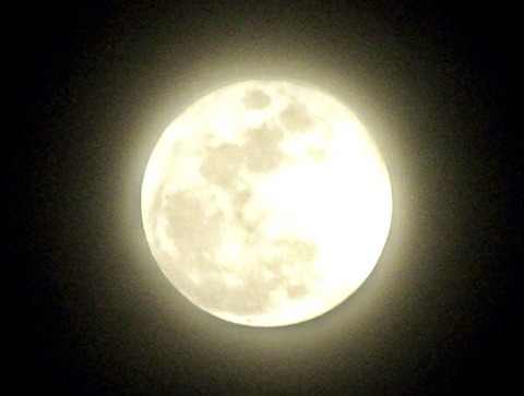 F4859F19-148A-44A0-92CC-4A65EC88C422