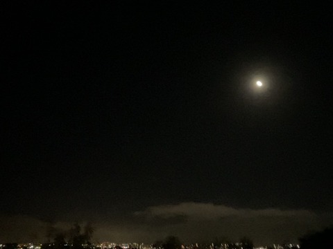 1DD1D800-C38E-489D-A3F2-26B072AF45F6