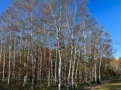 2813377B-F7C9-4A16-84FB-F068D95F8D92