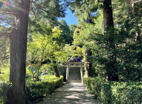 4C0CDE28-7DB3-4DCA-A68C-9941C6094BD1