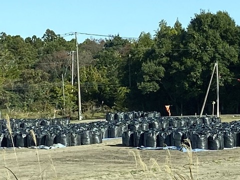 D71F91C8-D76D-4601-AF78-47164820D46A