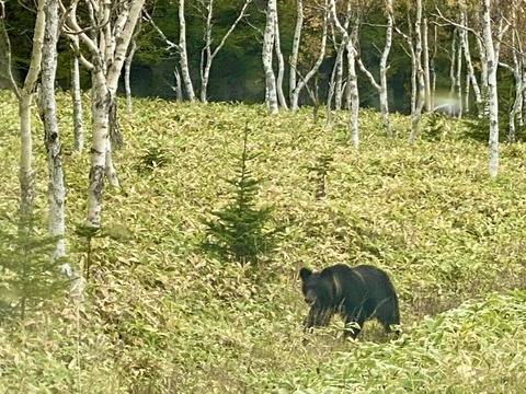 92E3CD32-089B-412A-A7EC-25484178BF10