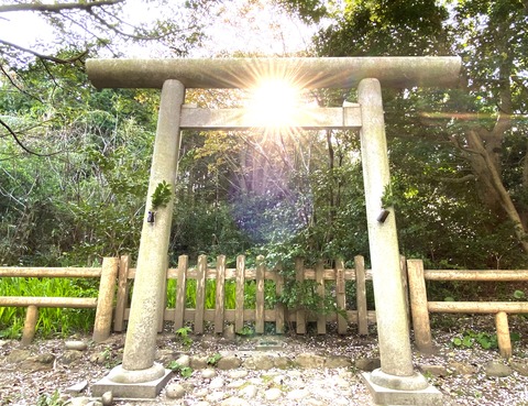 F9C2413B-320D-46BF-AC89-AFEC1E747710