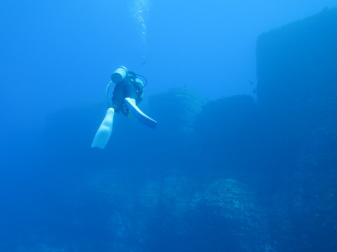 38543248_Unknown