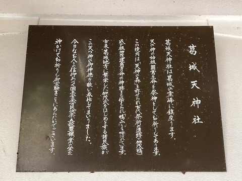 C5A3123B-6FEF-4E85-8020-08E219D28052