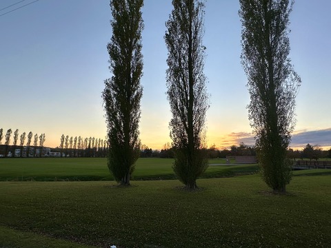 58E5C817-9740-4B87-BC52-55717ACA8BAA