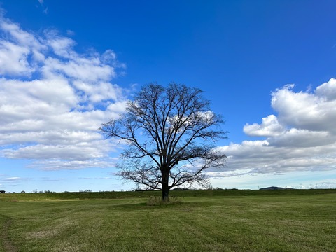 4781FF32-2CDC-487B-9AB8-DE93CBF150FB