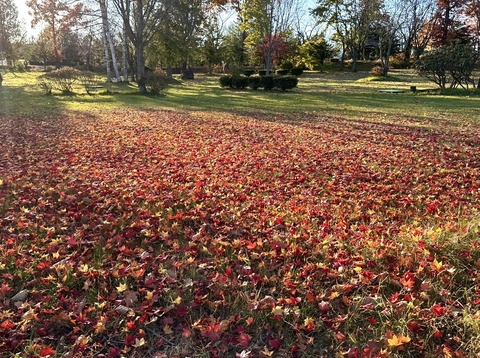 58037BDD-68E5-48BC-AA29-1775D2181996