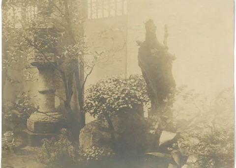 88A2113B-A562-4782-986C-C374F71DB745