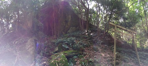 2517C2FB-D6EF-43C7-BE6B-E25FC72B9E15