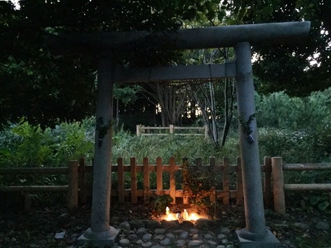 75016B8A-8CD2-41FD-A9F6-5CC2022C1DB9