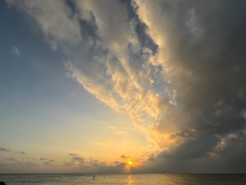 090FA67C-A07D-4A2F-B275-1B7B32E94CF2