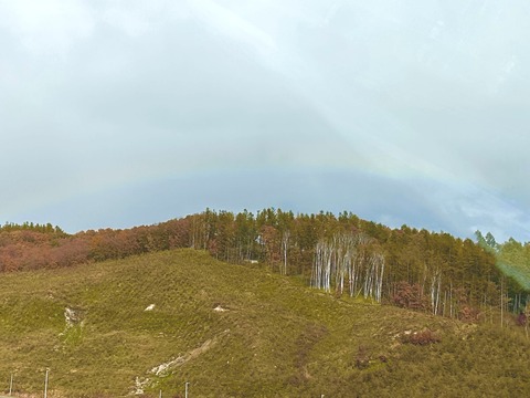 04227228-B820-4D3D-ADE0-F09D17CBC097