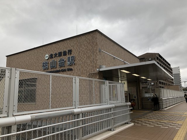 太陽と緑の街で新しいことを始める勇気 犬のようちえんワンコたちと うちの犬たちのキラキラの日々