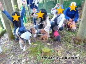 20161120h20(29)-thumbnail2