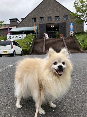 4E90781D-CBAA-429B-B958-9301A489AB0C
