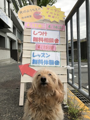 E91A08A0-638D-4E2F-B8E7-169C15E7F5A2