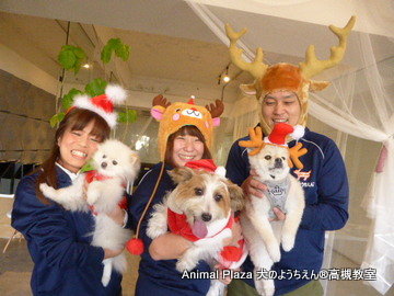 tk20161218 (13)