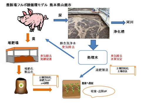 養豚循環モデル