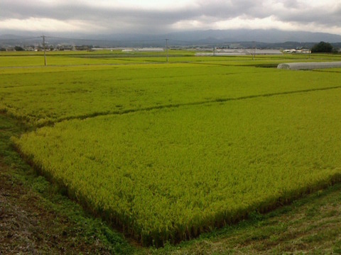 2014100507380000