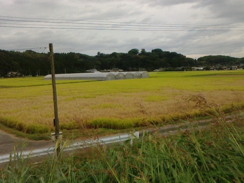 2014100507340000
