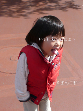 ちょりまめ日和