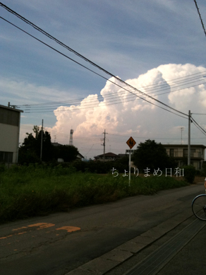ちょりまめ日和